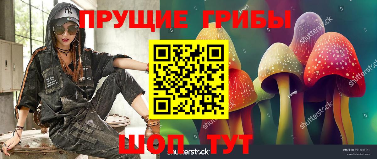 Галлюциногенные грибы Psilocybe Верхняя Салда